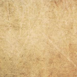 菲律宾黄色录像
