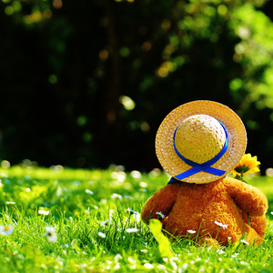 菲律宾黄色录像
